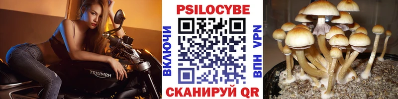 Псилоцибиновые грибы прущие грибы  Железногорск 